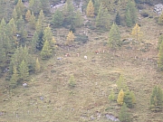Alpentour06_2.JPG