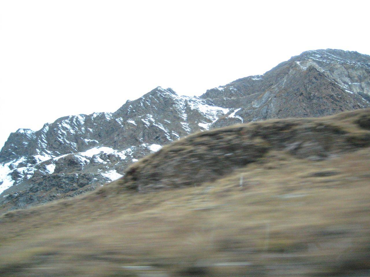 IMG_2124.jpg