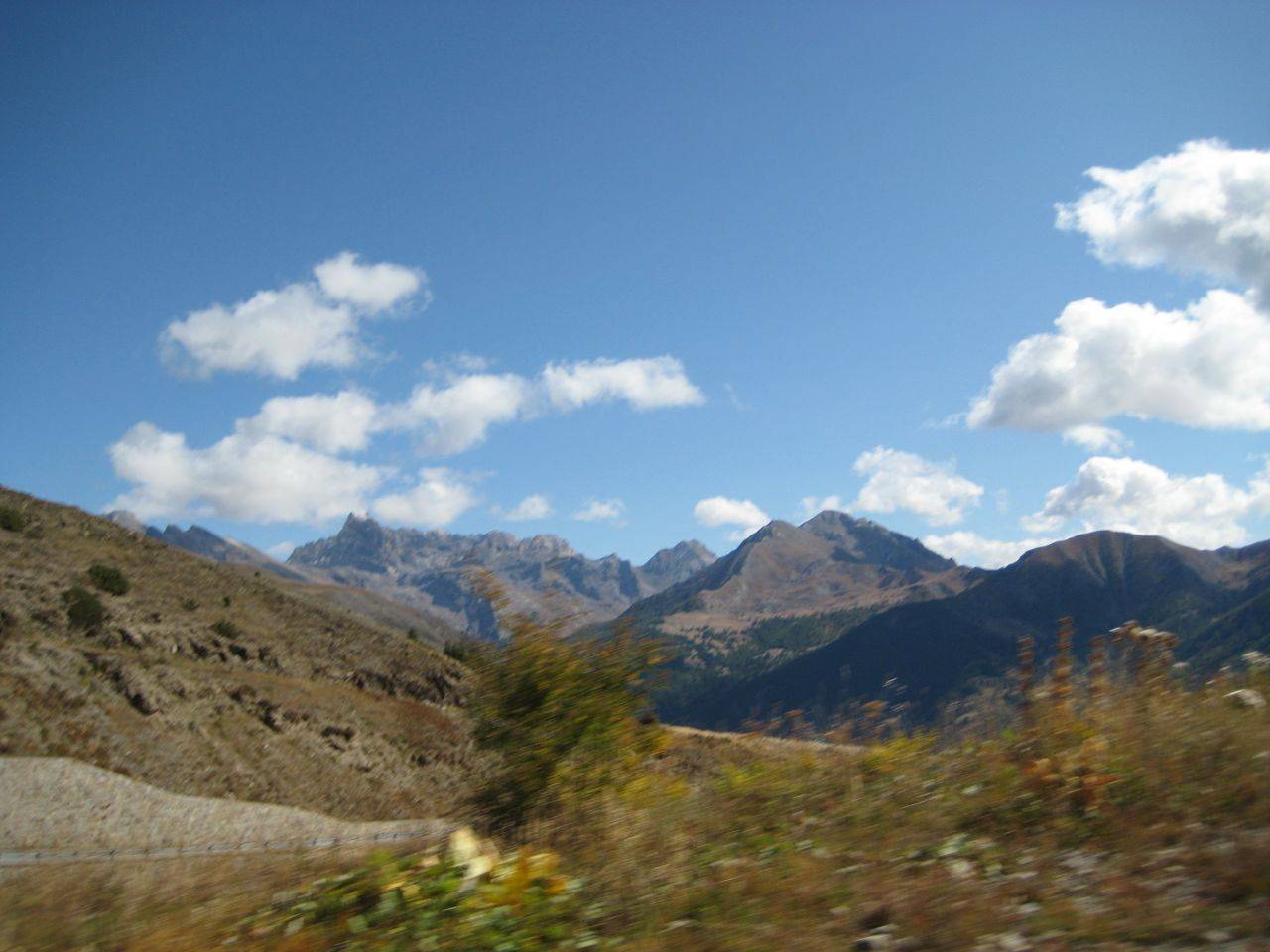 IMG_2178.jpg