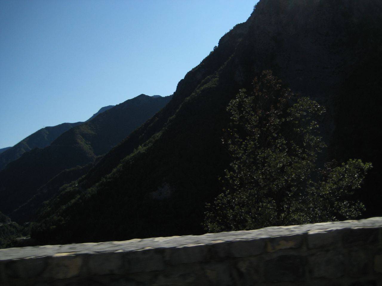 IMG_2252.jpg