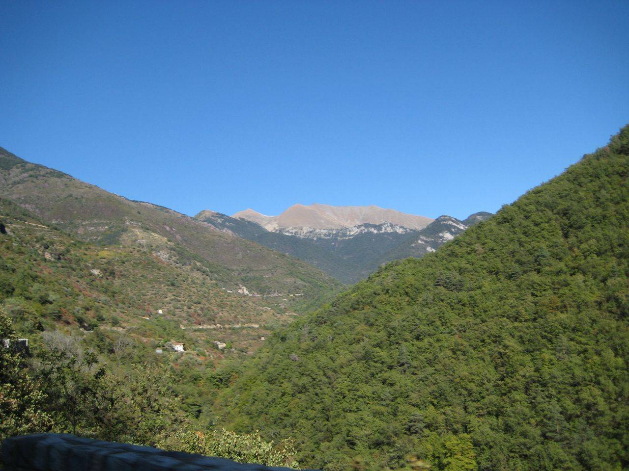 IMG_2257.jpg