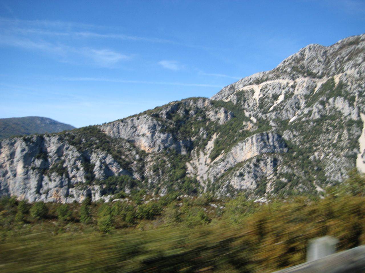 IMG_2321.jpg