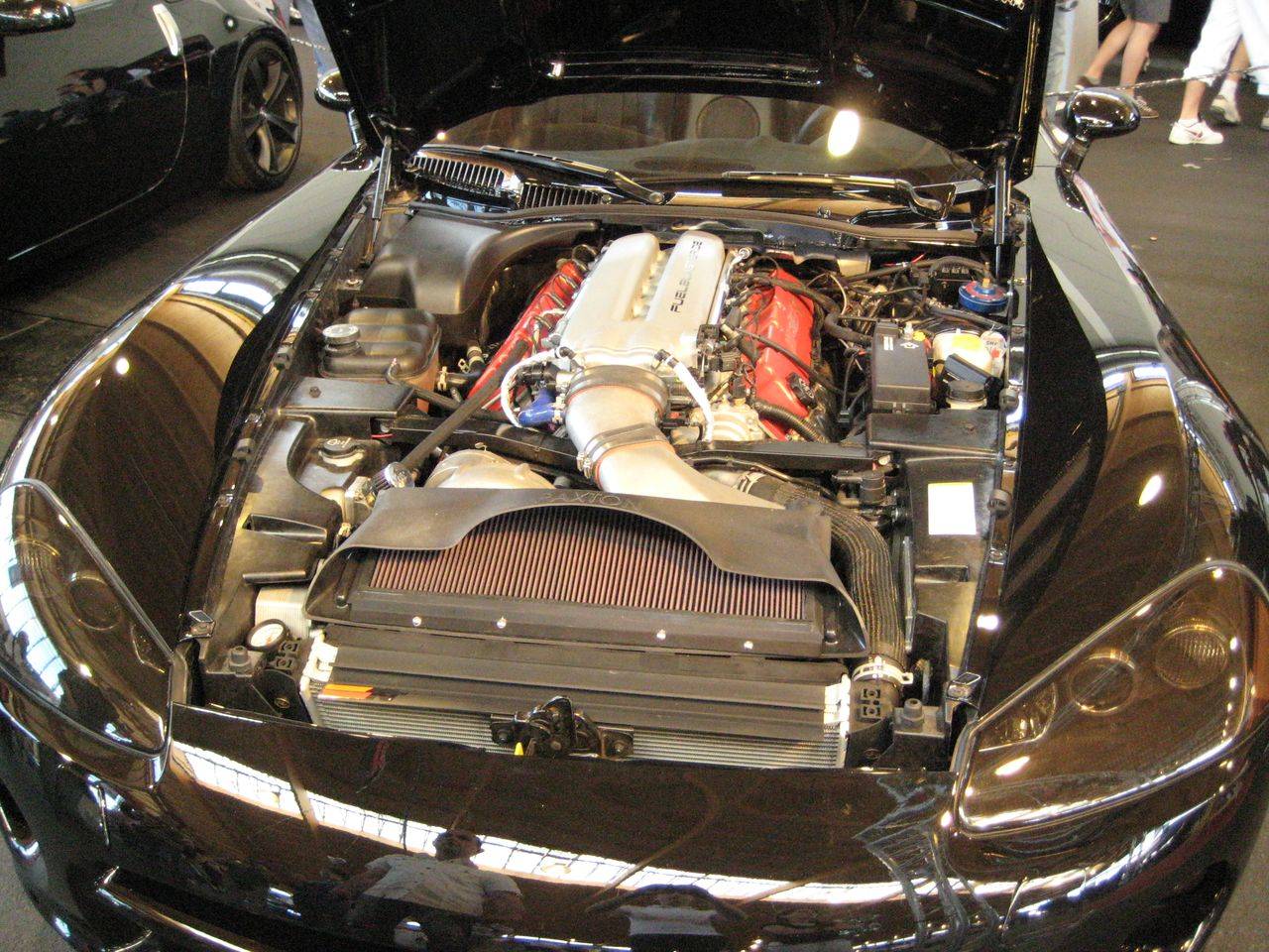 TWB08_166.jpg