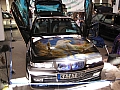 TWB08_186.jpg