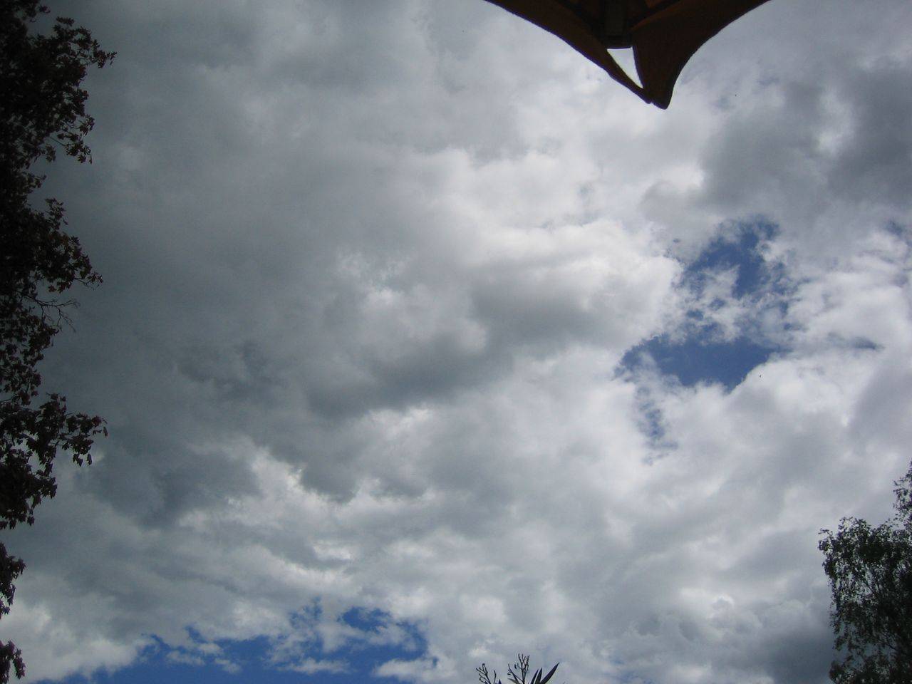 wst05-098.jpg